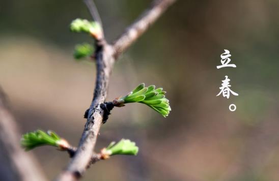 2025立春是双立春吗?双春年有何讲究