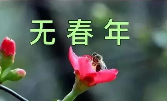 原问题?2025无春年农历阳历哪个准