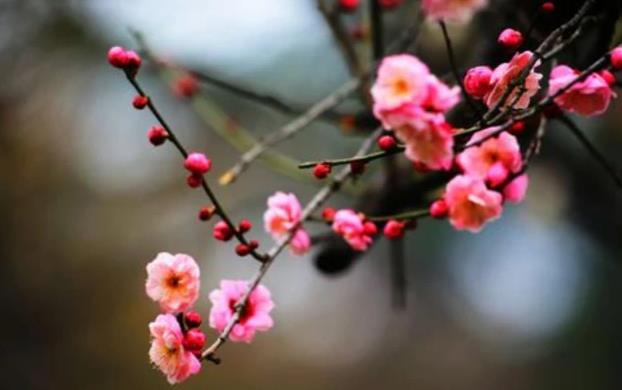 原问题?2025无春年农历阳历哪个准