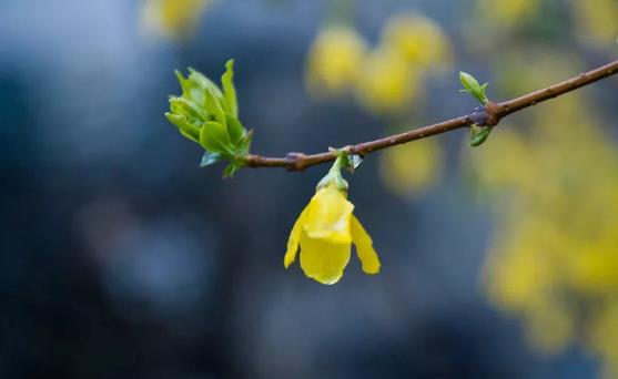 原问题?2025无春年农历阳历哪个准