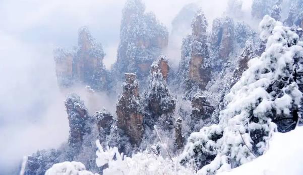 2025年12月去张家界能看到雾凇吗？雾凇最佳观赏时间