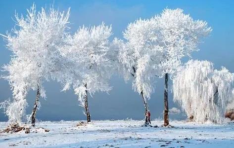 2025吉林冬天中到大雪?最低温度是多少