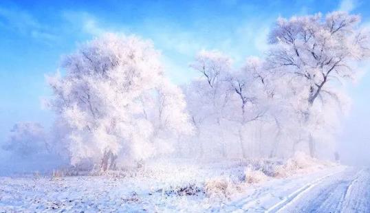 吉林雾凇冰雪节每天放烟花吗？2025年烟花燃放时间表