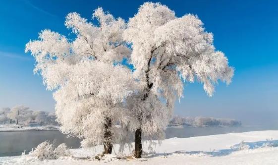 吉林雾凇冰雪节每天放烟花吗?2025年烟花燃放时间表