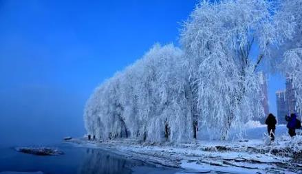 吉林雾凇冰雪节每天放烟花吗?2025年烟花燃放时间表