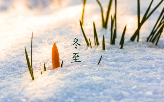 冬至吃馄饨还是吃饺子?汤圆习俗引热议