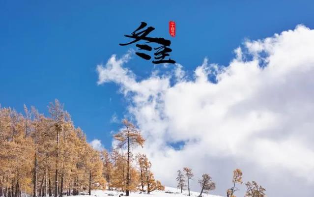 冬至吃馄饨还是吃饺子?汤圆习俗引热议