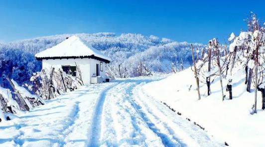 2025年元旦北方多冷?气温会跌破零下20度吗