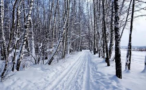 2025年元旦西安冷吗？春节旅游穿什么