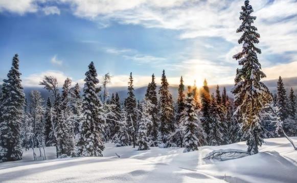 2025年元旦西安冷吗?春节旅游穿什么