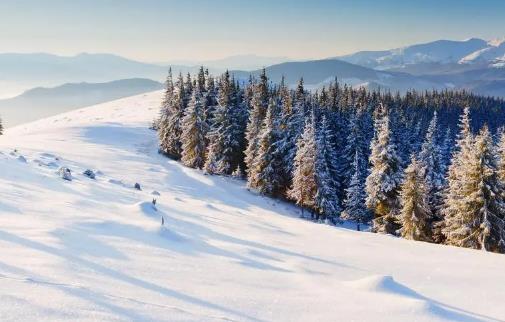 2025年元旦西安冷吗?春节旅游穿什么