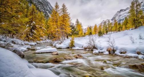 2025年元旦最冷吗?春节会更冷吗