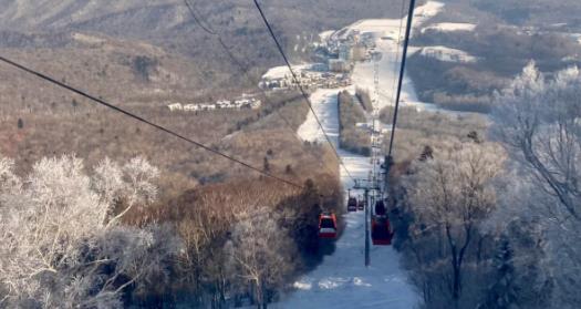 哈尔滨亚布力滑雪场开放了吗?冬季滑雪攻略怎么做
