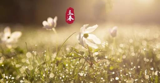 2025年立春是几九第几天？五九最后一天何时到