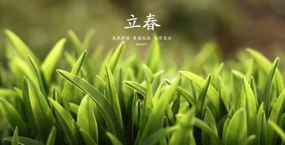 2025年立春是几九第几天?五九最后一天何时到