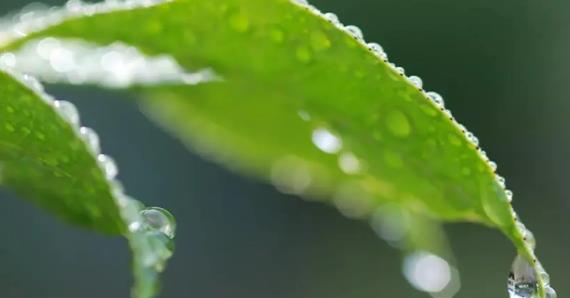 2025年立春是几九第几天?五九最后一天何时到