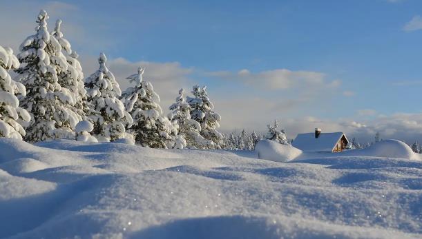 2025年冬季有几次寒潮？寒潮预测如何影响生活