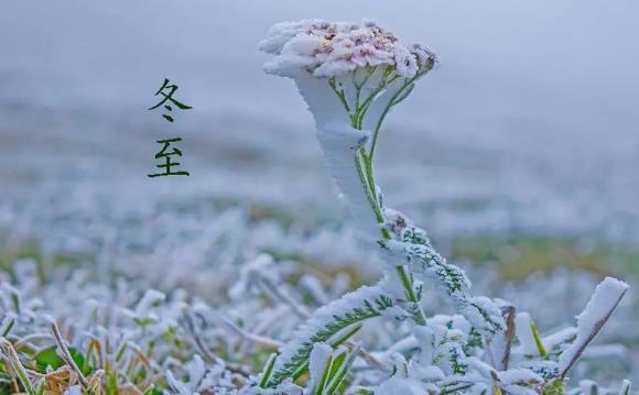 2025年冬至是黄道吉日吗？适合结婚吗