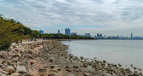 2025深圳冬天何时最冷?冷空气何时来袭