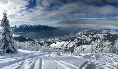 2025年深圳冬天用穿羽绒服吗?冷空气南下频繁吗