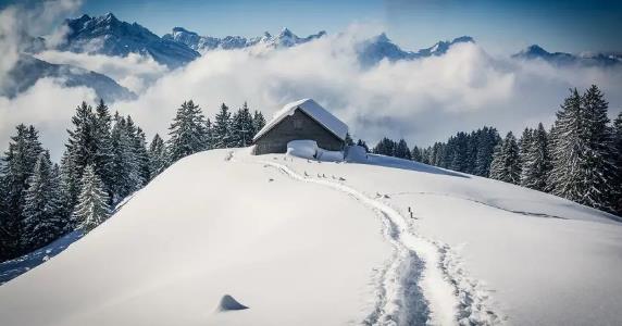 2025年深圳冬天用穿羽绒服吗?冷空气南下频繁吗