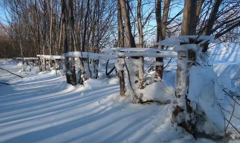 2025年深圳冬天用穿羽绒服吗?冷空气南下频繁吗