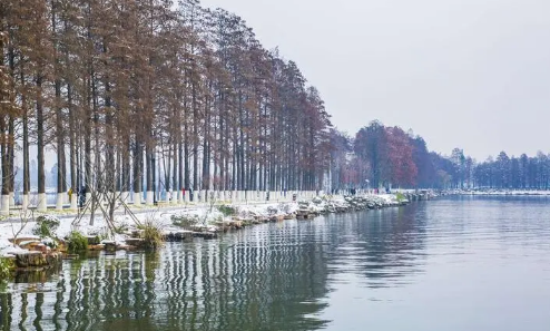 湖北武汉2025年何时入冬?今年冬季预测如何