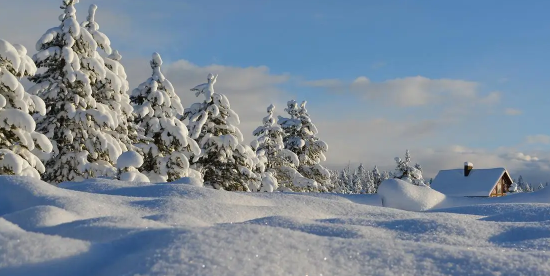 武汉冬天气温一般多少度?2025年会更冷吗