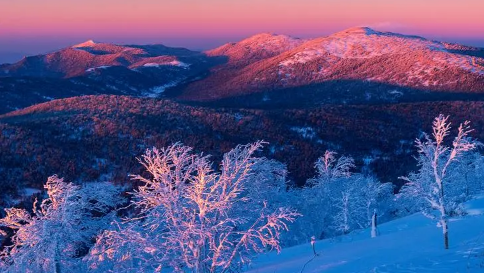 武汉冬天何时降温?2025年寒潮预测引关注