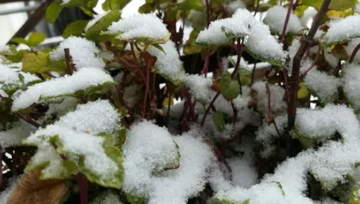 2025年湖南冬天会下雪吗?冰雪旅游会火吗