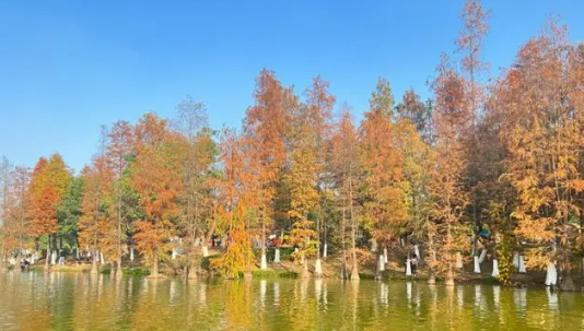 2025年广州11月气温多少度?会冷吗