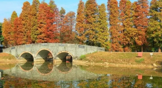 2025年十一月气温28度正常吗？暖冬成常态了吗