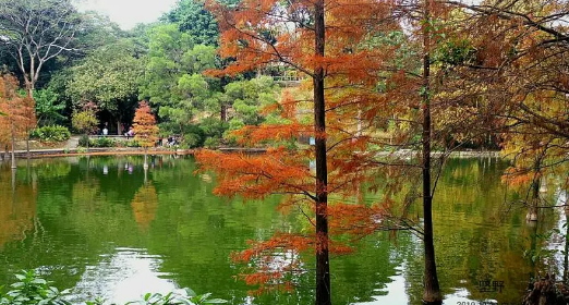 2025年十一月气温28度正常吗?暖冬成常态了吗