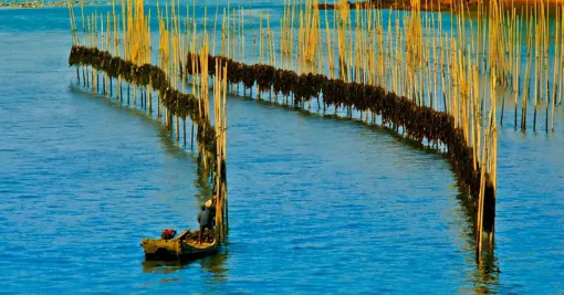 2025年福建何时入冬?今冬会否提前降温