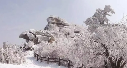 2025年河南冬天是暖冬还是冷冬?今年会迎来极寒天气吗