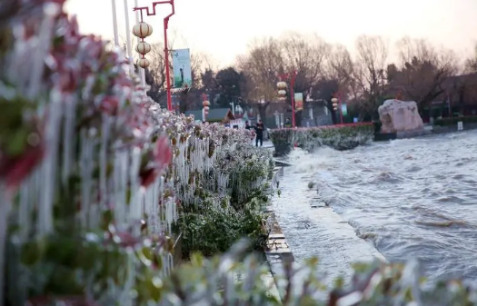 2025年三九天哪天开始?今年何时最冷