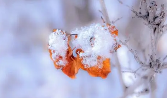 2025年冬天是60年来最冷一年吗?今冬为何这么冷