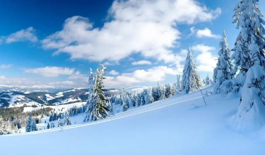 2025暖冬已成定局?今冬气候有何异常