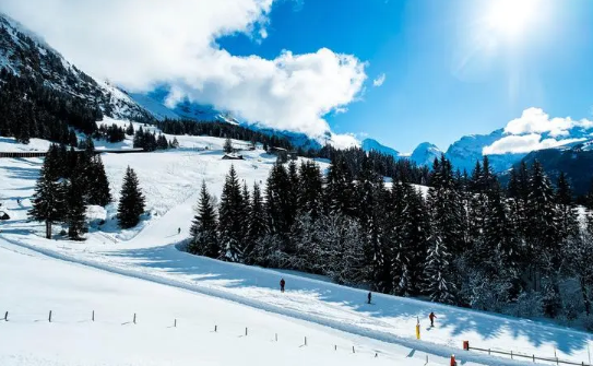 2025年冬天湿冷干冷?南方会遭遇极端寒潮吗