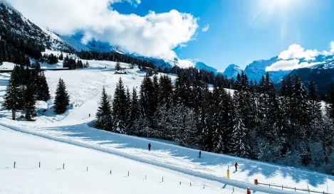 2025年春节会冷吗?南方会下雪吗