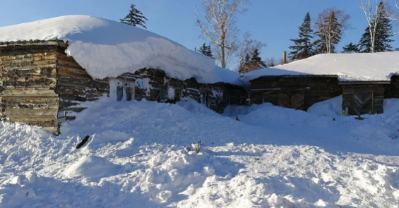 2025年沈阳冬季多久？今冬供暖时间确定了吗