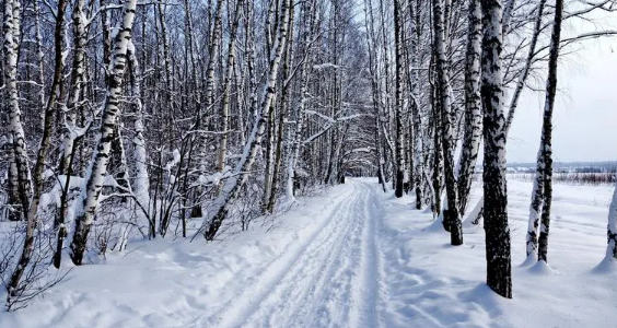 2025年沈阳冬季多久?今冬供暖时间确定了吗