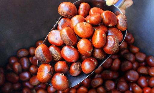 凉板栗吃了有什么坏处？吃多会发胖吗