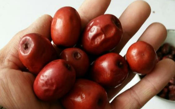 醉枣醉酸了还能吃吗？如何避免食物发酵变质