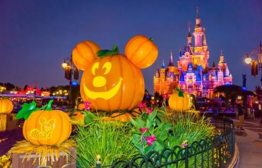 上海迪士尼万圣节能带狗吗？宠物入园政策详解