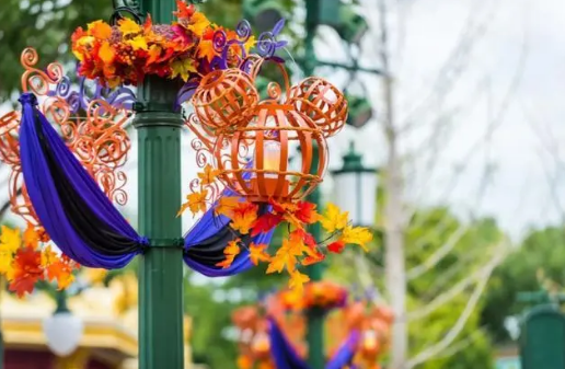 上海迪士尼万圣节能带狗吗?宠物入园政策详解