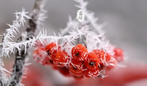 2025年霜降要下霜吗?天气会突然变冷吗?
