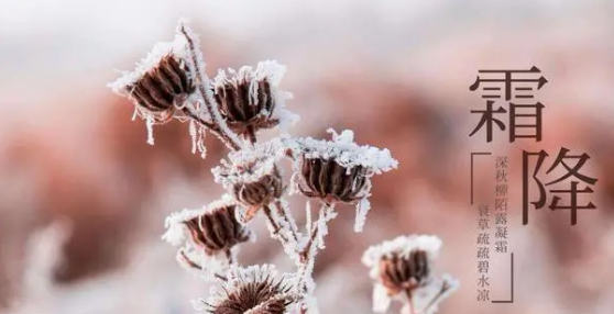 霜降下雨好还是晴天好?2025年霜降天气有何预兆
