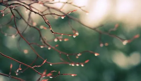 2025年寒露下雨冬天冷吗？今冬气候预测如何