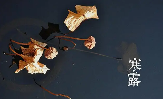 2025寒露下雨好还是晴天好？雨天出行有何影响